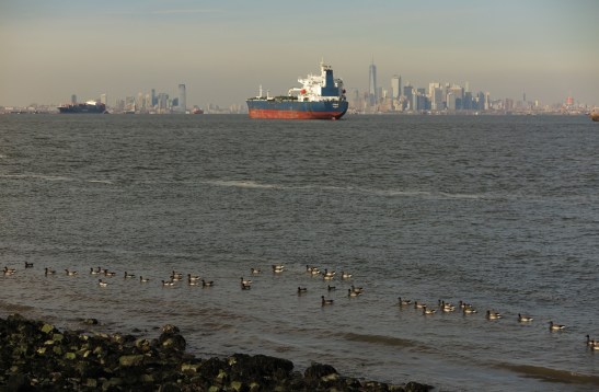 1-Looking to the north from Alice Austen's House Mar2017 (Frits L)