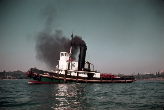 4. Heroine- Sydney's last coal burner tug. May 5, 1962. SHF